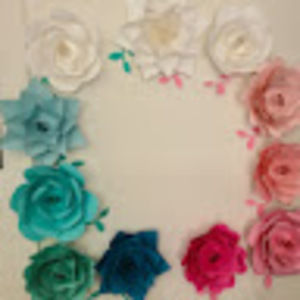 Meet your Posher, Doris